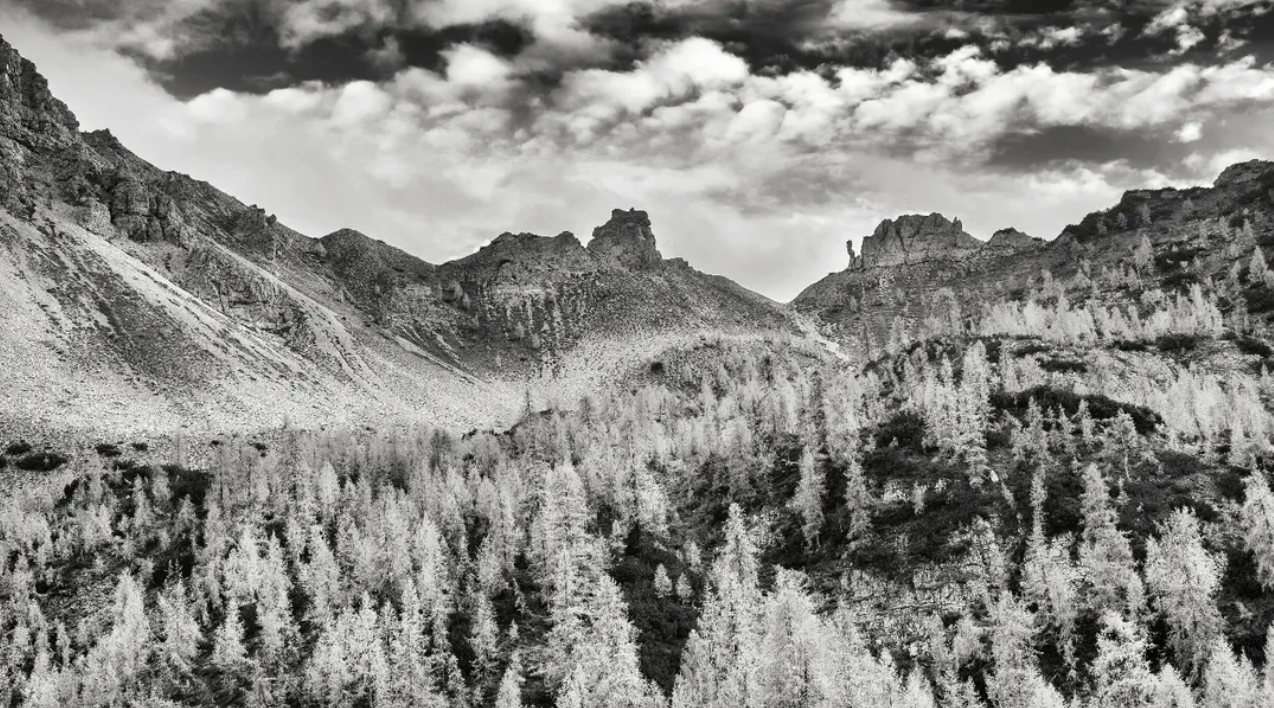 Test articolo David c